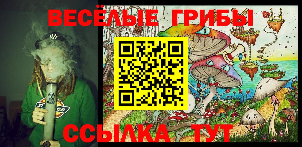 Галлюциногенные грибы Cubensis Тулун