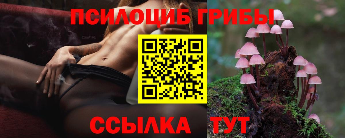 Псилоцибиновые грибы Psilocybe  Псилоцибиновые грибы Magic Shrooms  Вход с VPN  Тулун 
